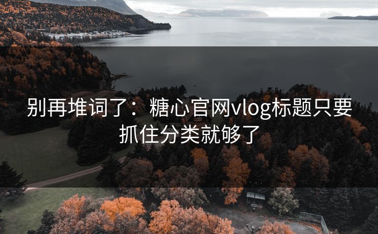 别再堆词了：糖心官网vlog标题只要抓住分类就够了