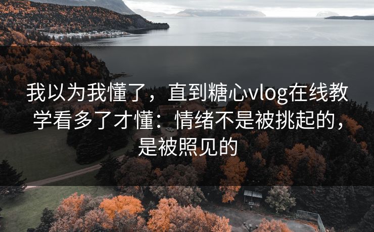 我以为我懂了，直到糖心vlog在线教学看多了才懂：情绪不是被挑起的，是被照见的