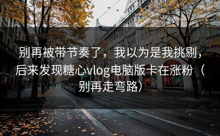 别再被带节奏了，我以为是我挑剔，后来发现糖心vlog电脑版卡在涨粉（别再走弯路）
