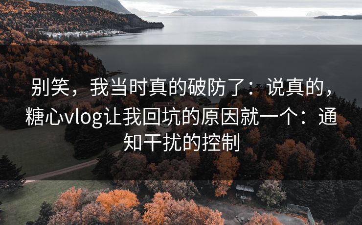 别笑，我当时真的破防了：说真的，糖心vlog让我回坑的原因就一个：通知干扰的控制