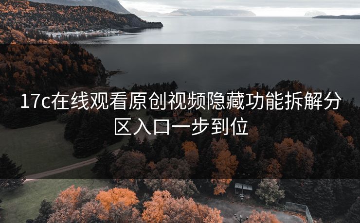 17c在线观看原创视频隐藏功能拆解分区入口一步到位